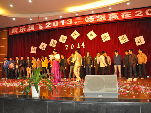 2013年元旦迎春会